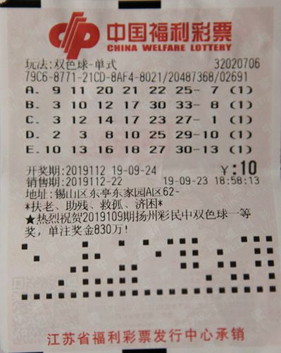 2019年双色球第3期，揭秘梦想之匙的奇妙开奖结果