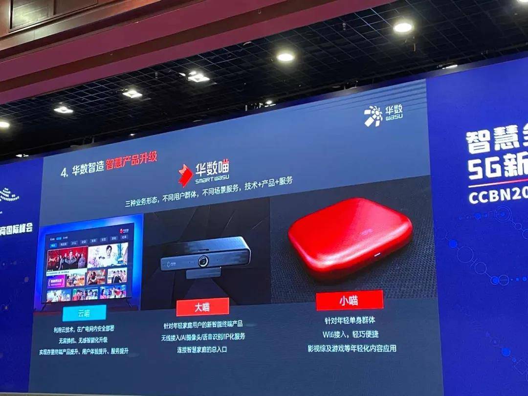 81456，香港开码结果背后的数字游戏与文化探索