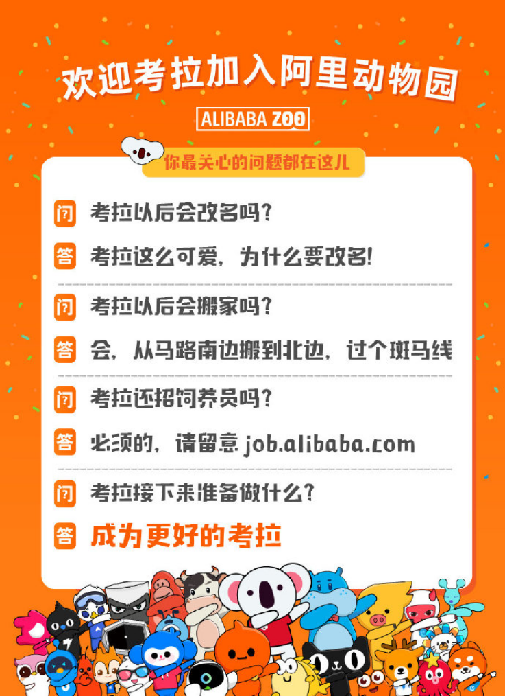 探秘大透乐73，一注背后的故事与价格揭晓