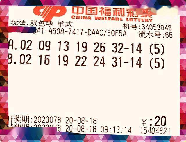 2025年6月5日 第15页