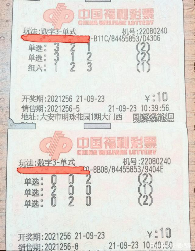 福彩3D开奖结果查询,今晚的惊喜与期待