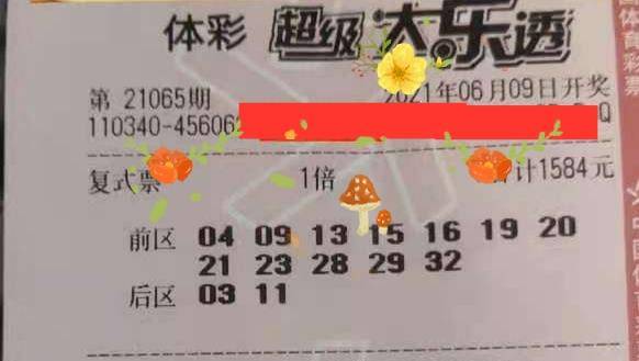 探秘体彩七星彩票204期开奖结果,数字背后的幸运与期待