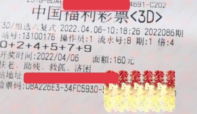 福利彩票单式双色球，中奖查询号码的奥秘与乐趣