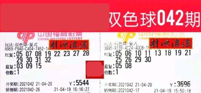 最新双色球开奖消息2013年第5期，幸运之轮再次转动，梦想与希望交织的夜晚