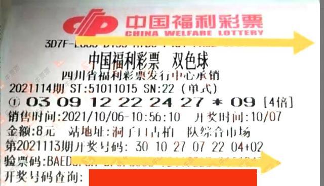 最新双色球开奖结果2031年，梦想与幸运的碰撞